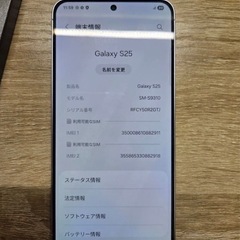 本日限定！Samsung Galaxy S25 12GB+256GB SIMフリー アイシーブルーの画像