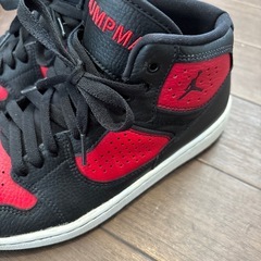 ナイキ ジョーダン 24cmの画像