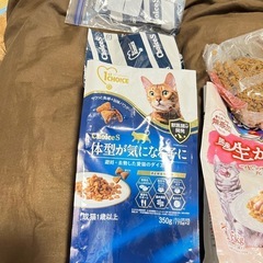猫　餌の画像