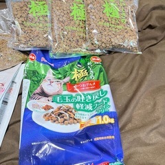 猫　餌の画像