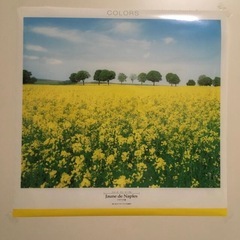 フィルムアートポスター　4点セットの画像