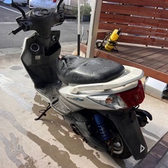 シグナス se44jの画像