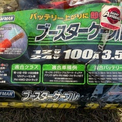 バッテリーケーブルと充電器の画像