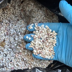 水槽の砂利（今年中に処分予定）の画像