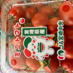 ミニトマトの画像