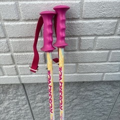 ロシニョール　スキー　ストックの画像