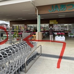 12/13(土)　JAあつぎ あぐりべぇ メダカ出荷の画像