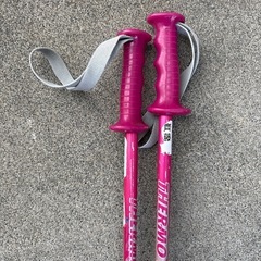 スキーストック　ジュニアの画像