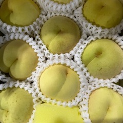 岡山県産冬桃がたり1箱の画像