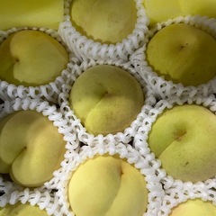 岡山県産冬桃がたり1箱の画像