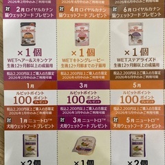 2026カレンダー　ペットフォレスト クーポン付の画像