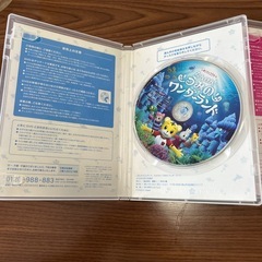 しまじろううみのワンダーランド & クリスマスキャンドルDVDセット2018年の画像