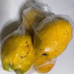 カリン４個
の画像