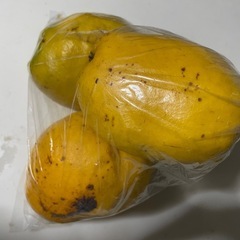 カリン４個
の画像