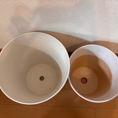 植木鉢2個セット🪴の画像
