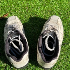 ⛳️ゴルフシューズの画像