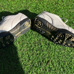 ⛳️ゴルフシューズの画像