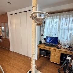 キャットツリー、カゴ単品も可の画像