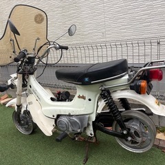 シャリー　50  の画像