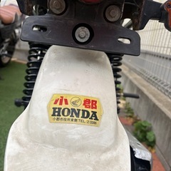 シャリー　50  の画像