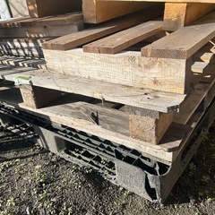 木まとめて無料の画像