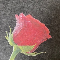 デザイン吸音材の画像