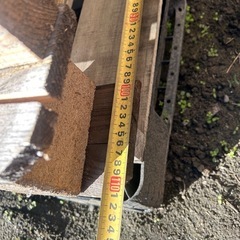 木まとめて無料の画像