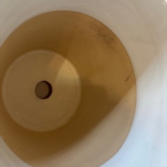 植木鉢2個セット🪴の画像