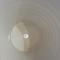 植木鉢2個セット🪴の画像