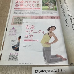 マタニティヨガDVD付き
本の画像