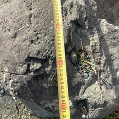 💖庭院石💖の画像