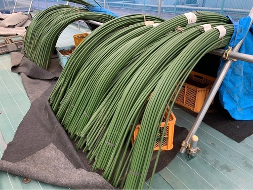 トンネル支柱　　500本
