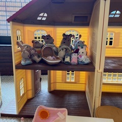 シルバニアの画像