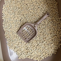 デオトイレ　猫砂付き　中古の画像