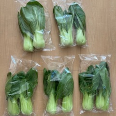 野菜セットの画像