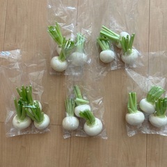 野菜セットの画像