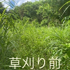 年末の草刈りお手伝い😊