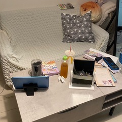 【差し上げます】ソファーカバーつきの画像