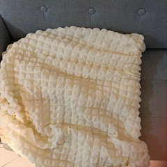 【差し上げます】ソファーカバーつきの画像