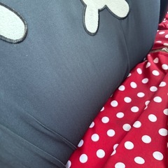 ディズニー ミニー 車用 後部座席シートカバー 2席分 現状渡しの画像