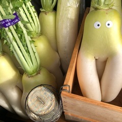 ダイコン　100円の画像