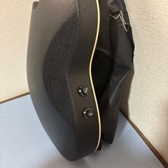 Sepia Crue アコースティックギターの画像