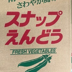 スナップえんどう1箱の画像