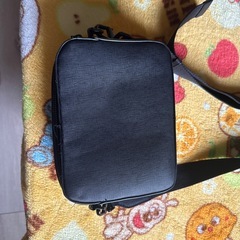 フレッドペリーTシャツ&ZARAショルダーバックの画像