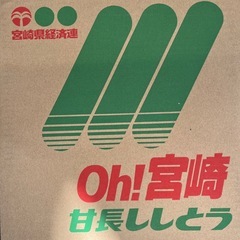 甘長ししとう1箱の画像