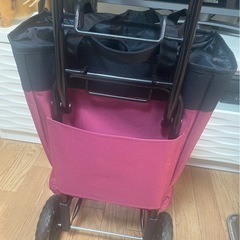 買い物キャリー①の画像