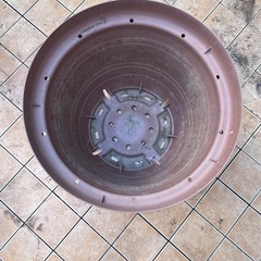 大きい花鉢の画像