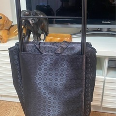 お買い物キャリー②の画像