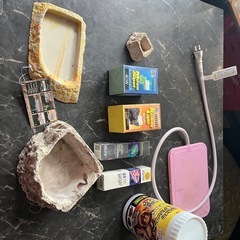 リクガメ飼育セット、バスキングライト、爬虫類保温球の画像