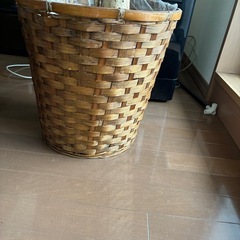 観葉植物　ゴムの木の画像